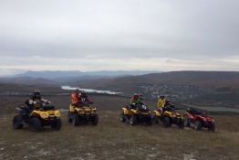 багги и джипы