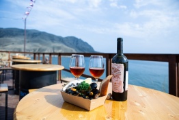 СЕТЬ УСТРИЧНЫХ 