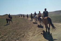 Конные прогулки