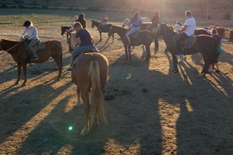 Конные прогулки