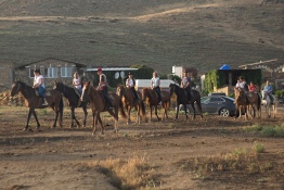 Конные прогулки