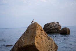 ПЛЯЖ МЕГАНОМ