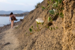 ПЛЯЖ МЕГАНОМ