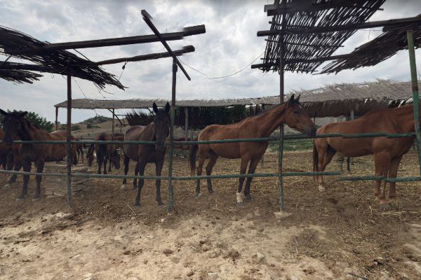 АКТИВНЫЙ ОТДЫХ